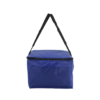 Insulated Heat Sealed Lunch Cooler Bag