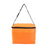 Insulated Heat Sealed Lunch Cooler Bag