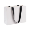 Matte Laminated Euro Tote for Retail Branding