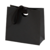 Textured Paper Gift Bag with Ribbon Handles