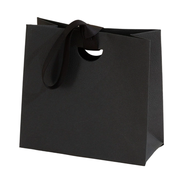 Textured Paper Gift Bag with Ribbon Handles