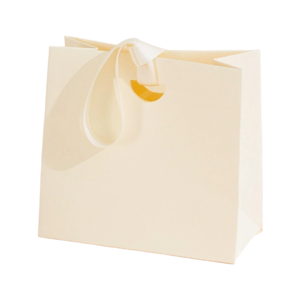 Textured Paper Gift Bag with Ribbon Handles