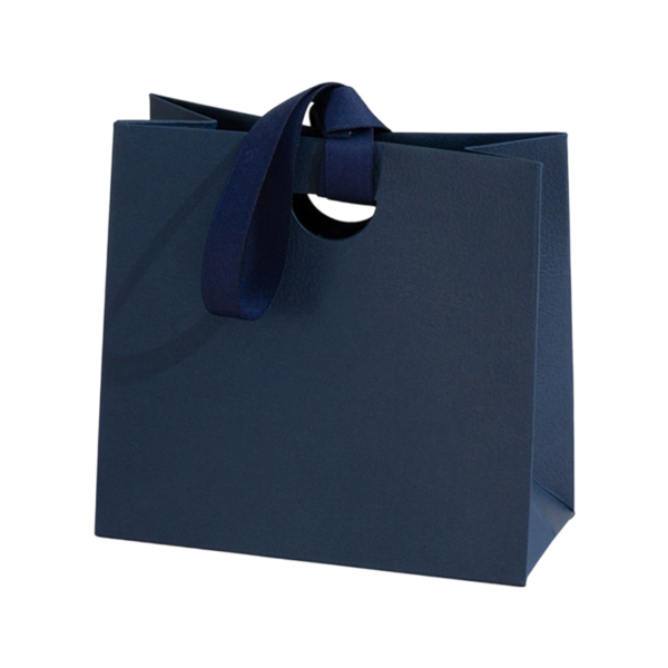 Textured Paper Gift Bag with Ribbon Handles