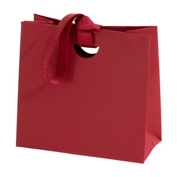 Textured Paper Gift Bag with Ribbon Handles