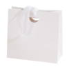 Textured Paper Gift Bag with Ribbon Handles