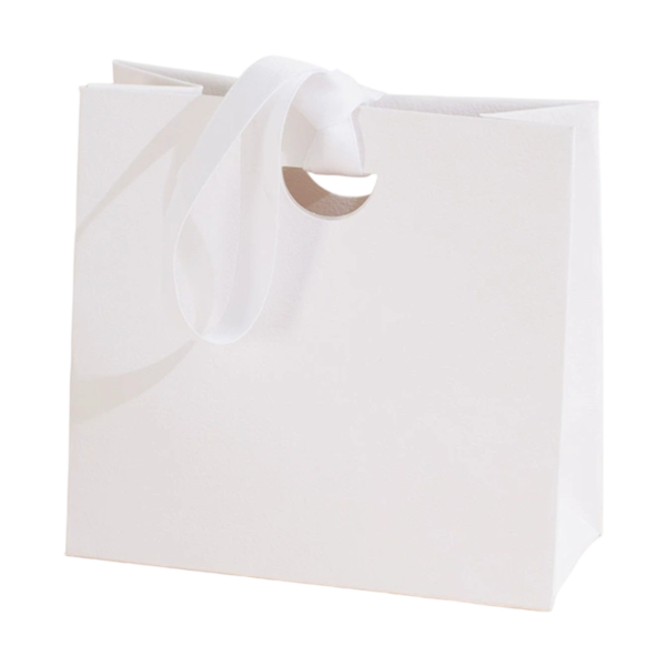 Textured Paper Gift Bag with Ribbon Handles