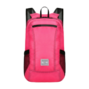 Water-Resistant Polyester Outdoor Foldable Backpack