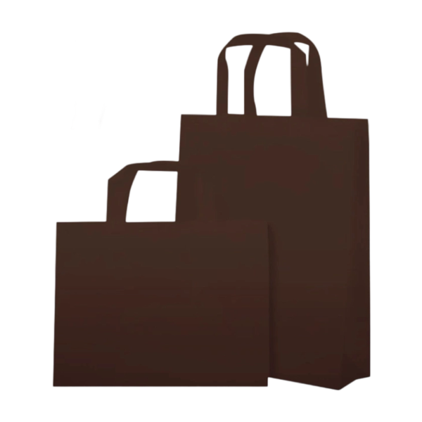 Laminated Nonwoven Gift Bag For Shopping And Promotion