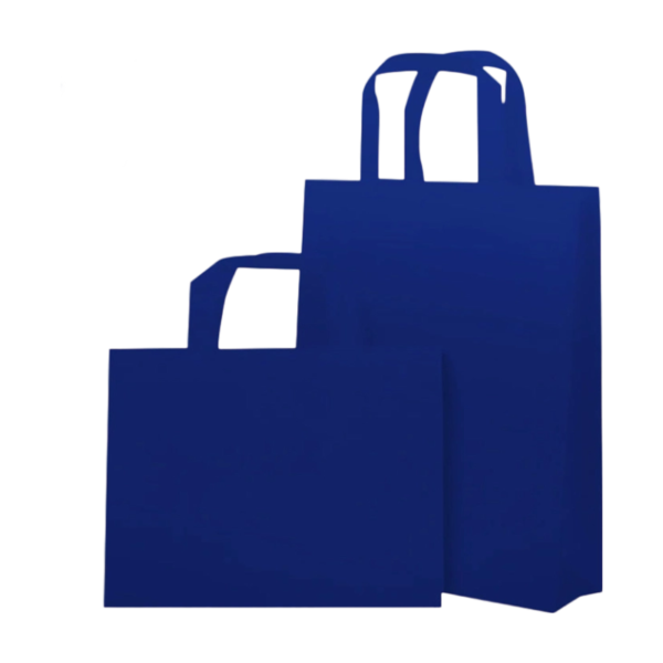 Laminated Nonwoven Gift Bag For Shopping And Promotion