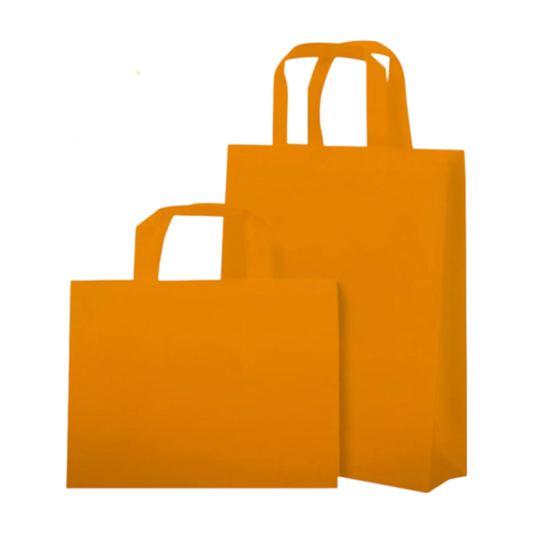 Laminated Nonwoven Gift Bag For Shopping And Promotion