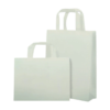 Laminated Nonwoven Gift Bag For Shopping And Promotion