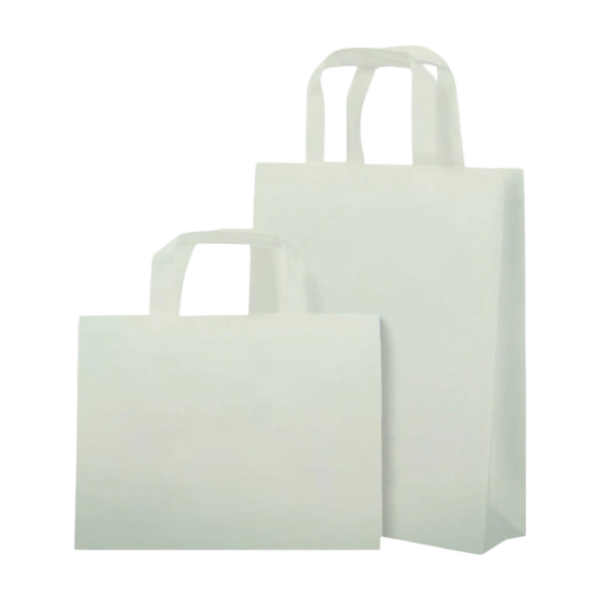 Laminated Nonwoven Gift Bag For Shopping And Promotion