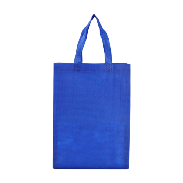 Promotional Non-Woven Shopping Bag for Daily Use