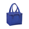Insulated Non-Woven Cooler Bag for Food Storage