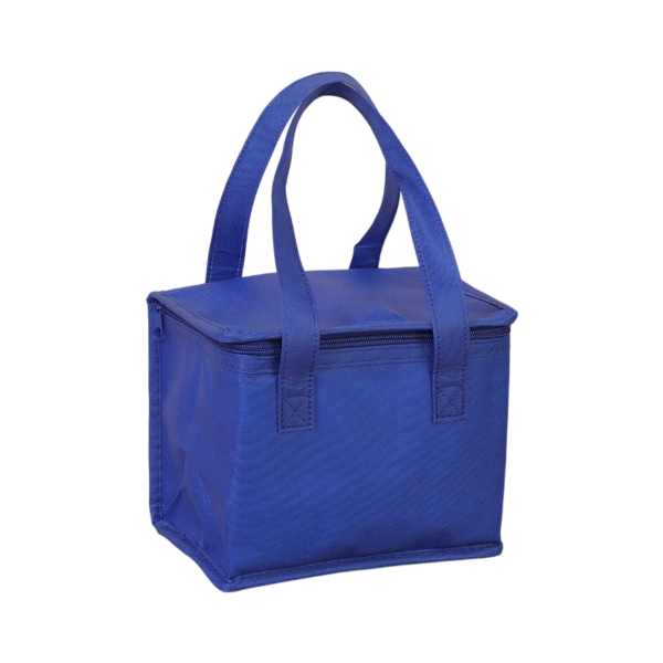 Insulated Non-Woven Cooler Bag for Food Storage