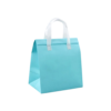 Insulated Non-Woven Thermal Delivery Bag with Foil Lining