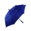 Double-Canopy Windproof Umbrella for Rain