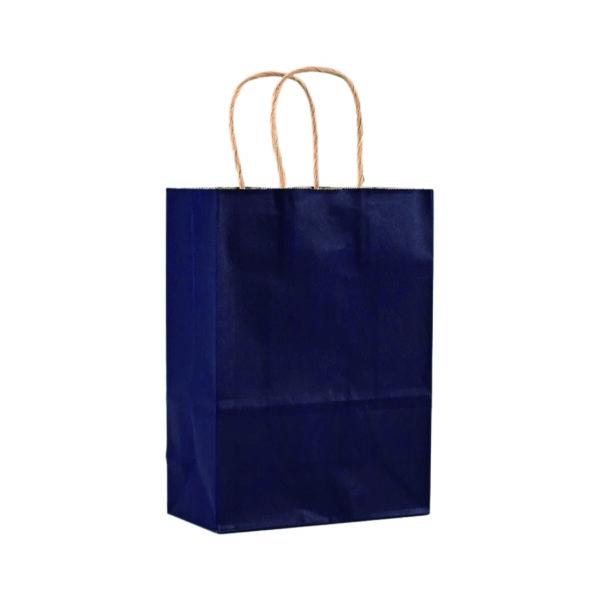 110G Kraft Paper Bag with Twist Handle for Carrying