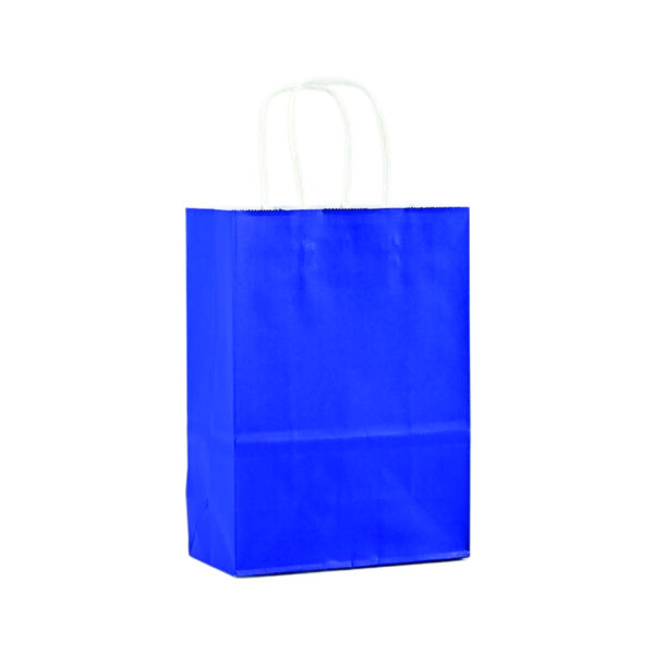 110G Kraft Paper Bag with Twist Handle for Carrying
