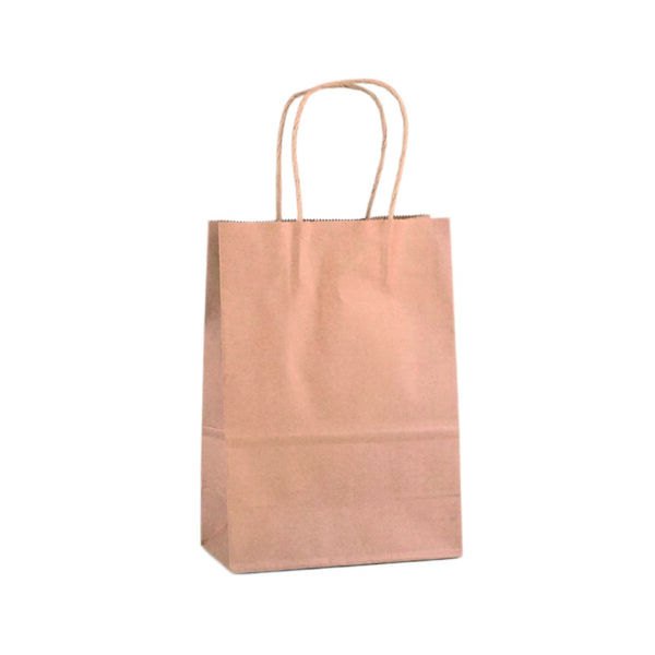 110G Kraft Paper Bag with Twist Handle for Carrying