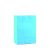 110G Kraft Paper Bag with Twist Handle for Carrying