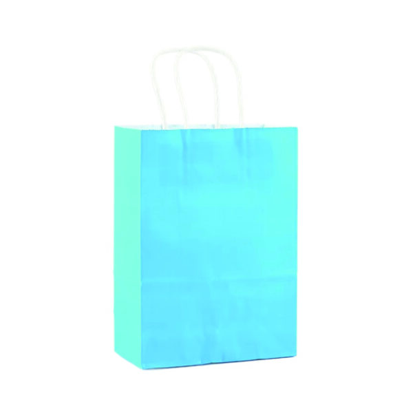 110G Kraft Paper Bag with Twist Handle for Carrying