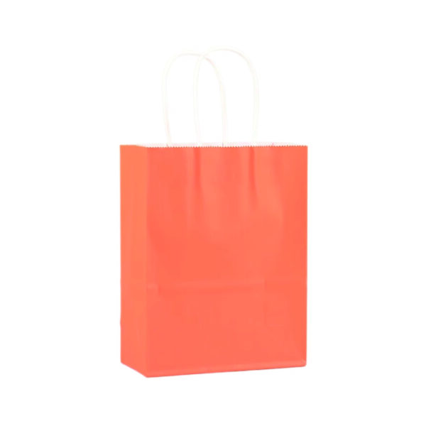 110G Kraft Paper Bag with Twist Handle for Carrying