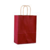 110G Kraft Paper Bag with Twist Handle for Carrying