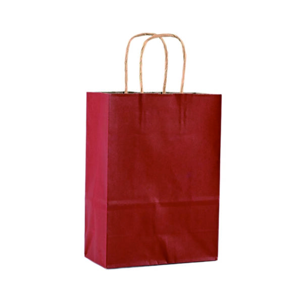 110G Kraft Paper Bag with Twist Handle for Carrying