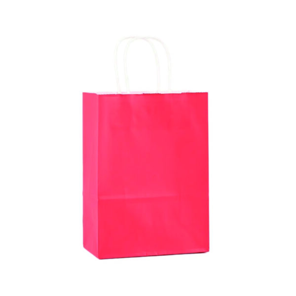 110G Kraft Paper Bag with Twist Handle for Carrying