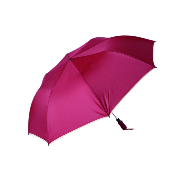 Compact Travel Umbrella with Double-Ventilated Canopy