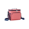 Portable Insulated Cooler Bag with Oxford Fabric and Compartments