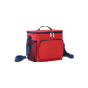 Portable Insulated Cooler Bag with Oxford Fabric and Compartments